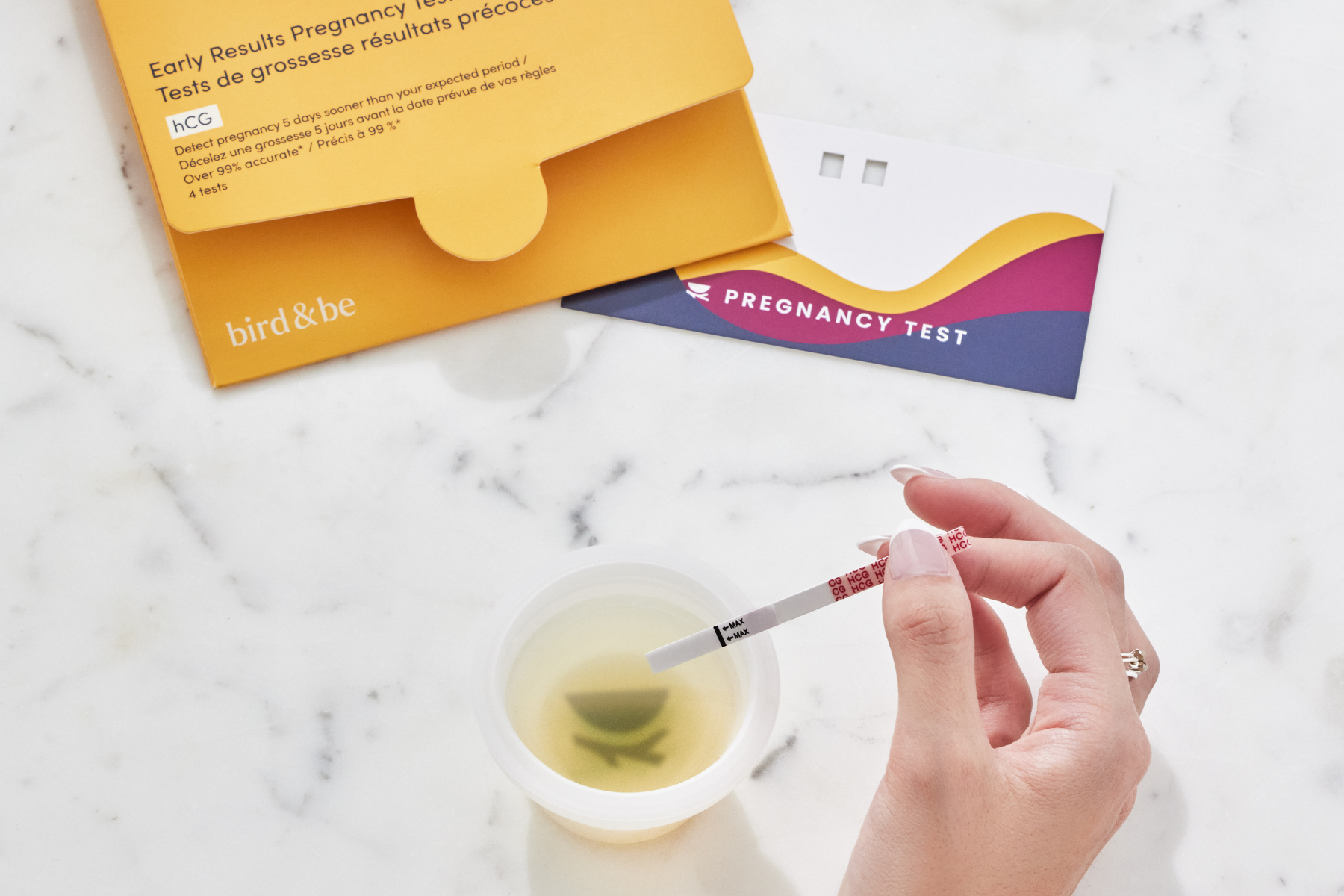 What to Do When You Get a Positive Pregnancy Test – Bird&Be