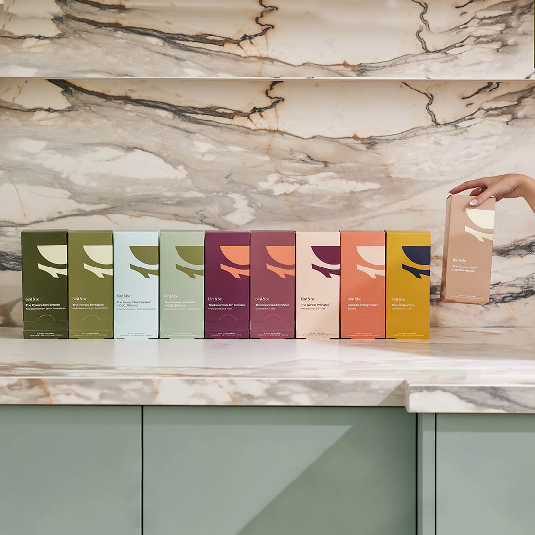 How To Read Pregnancy Test Results Bird Be how-to-read-pregnancy-test-results-bird-be