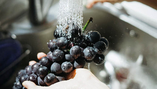 How Does Resveratrol Support Fertility?