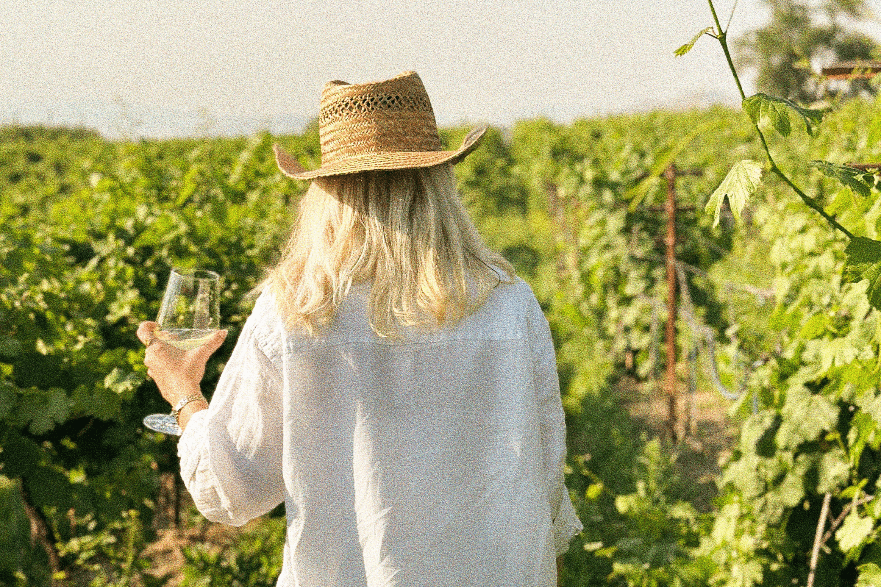 Can I Take Prenatal Vitamins If I’m Not Pregnant (or Trying to Conceive)?