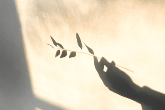 Does Vitamin D Affect Fertility?