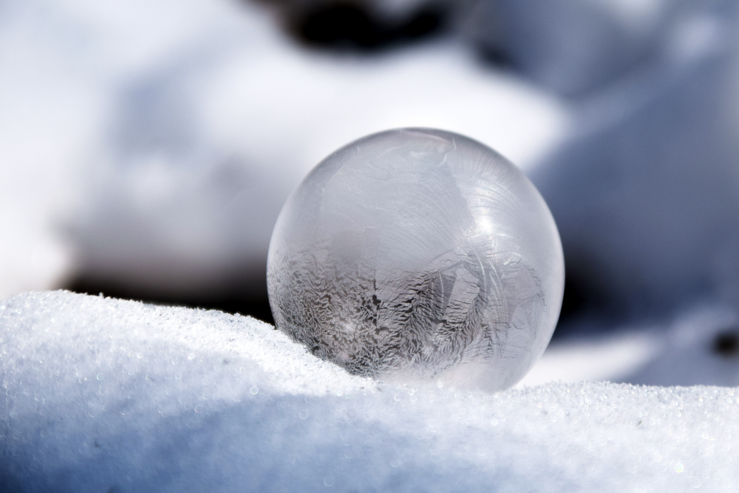 Egg Freezing vs. Embryo Freezing—Which One To Choose? | Bird&Be
