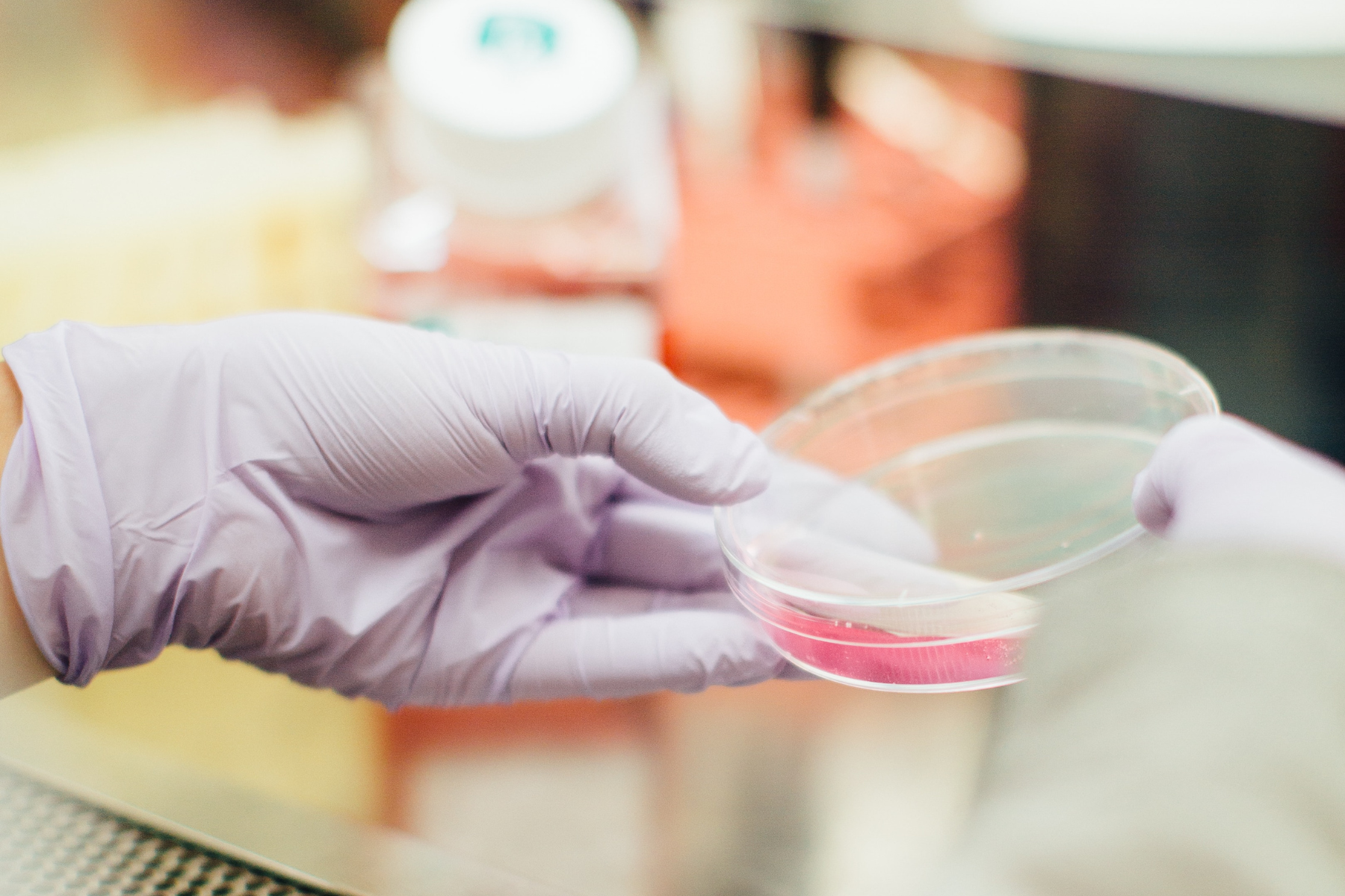 Fresh vs. frozen embryo transfer