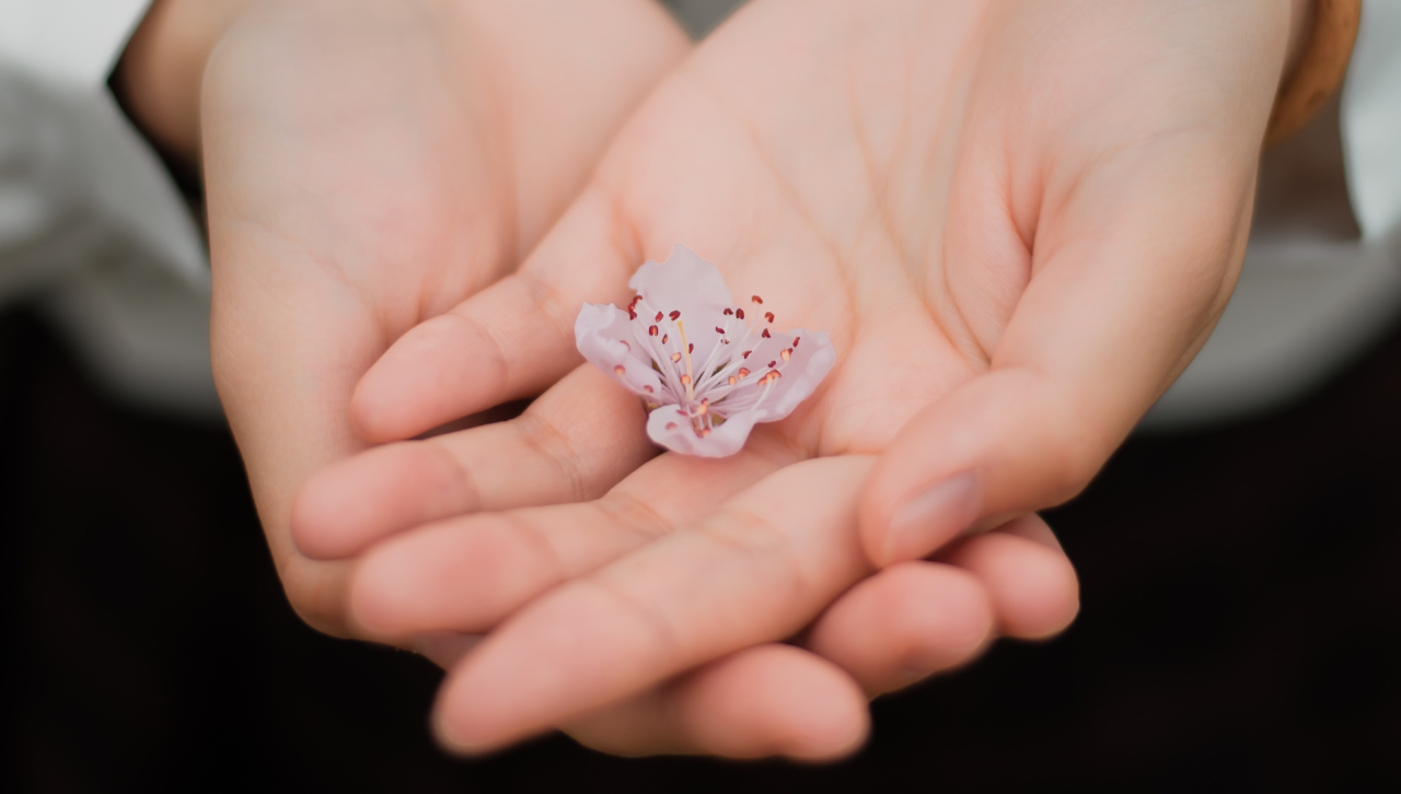 How To Help Someone Going Through a Miscarriage or Pregnancy Loss