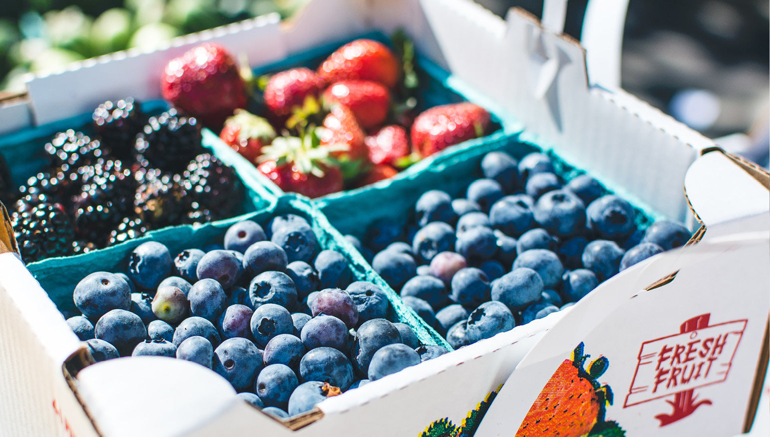 top five foods for your fertility diet