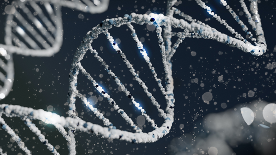 What is Sperm DNA Fragmentation