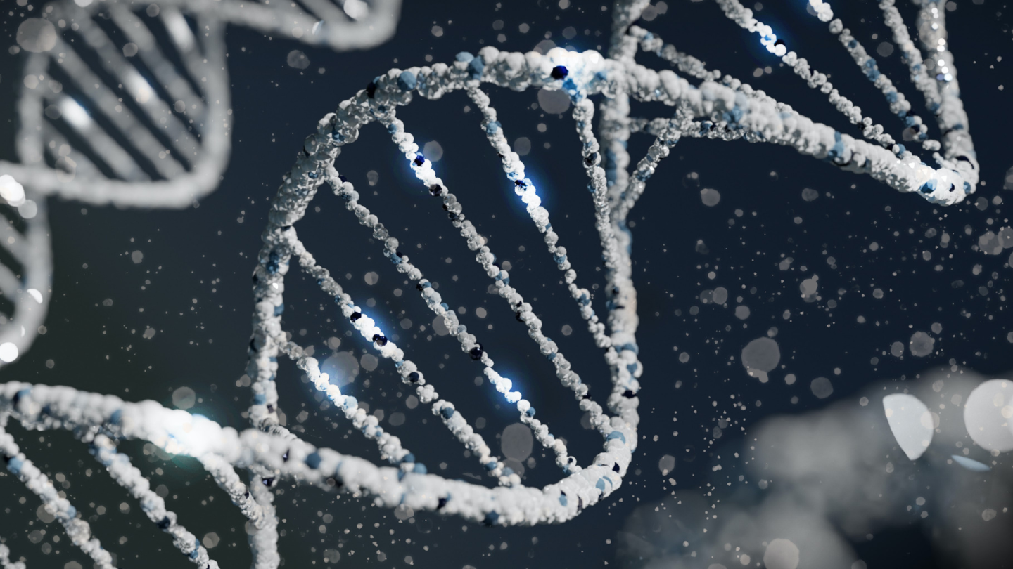 What is Sperm DNA Fragmentation