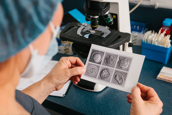 A guide to embryo grading