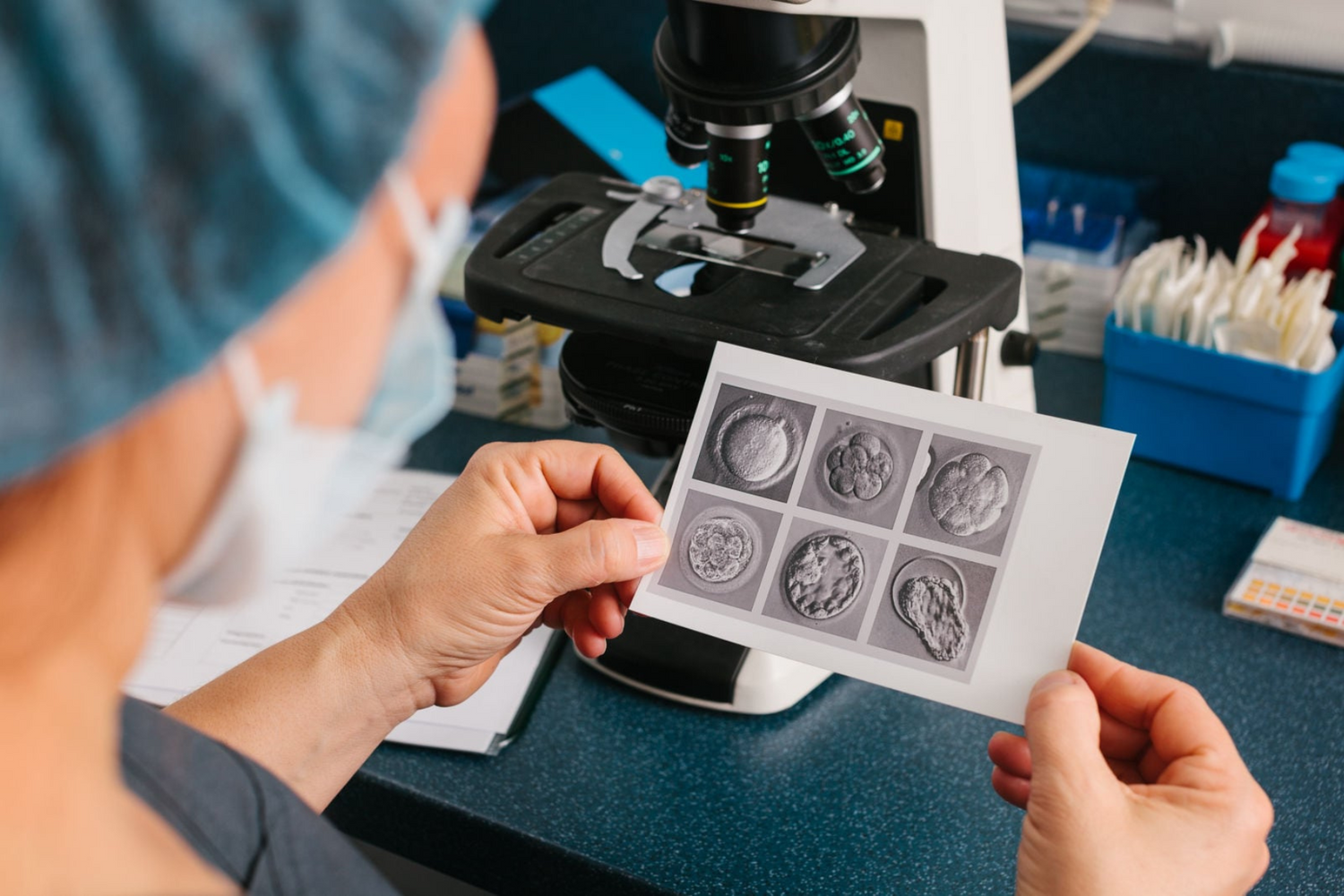A Guide to IVF Embryo Grading – Bird&Be