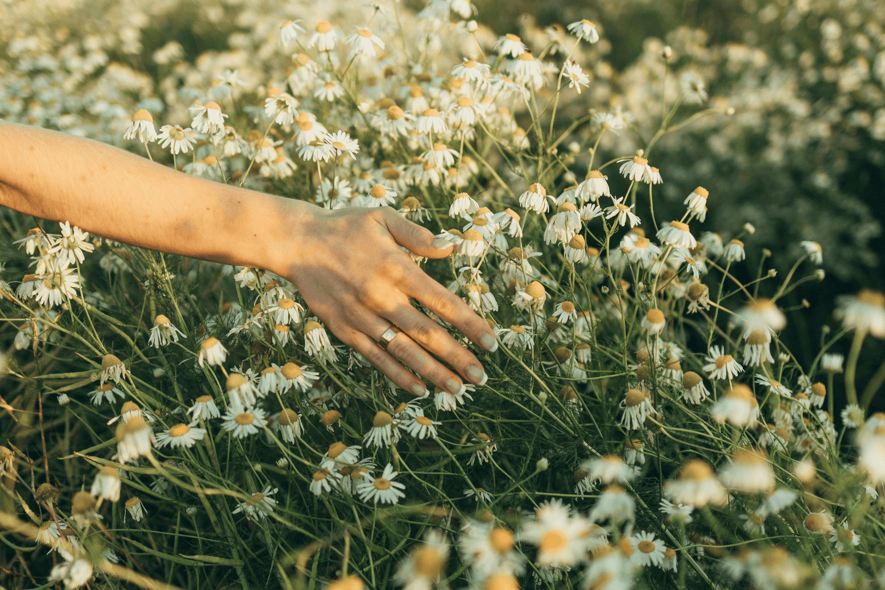 mother's day with infertility is hard
