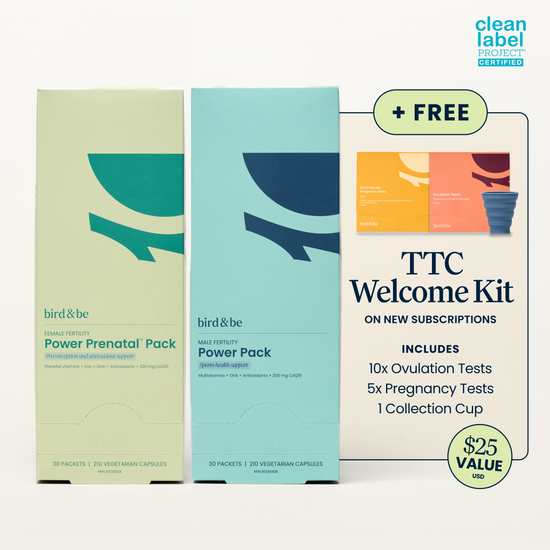Egg + Sperm Support Bundle