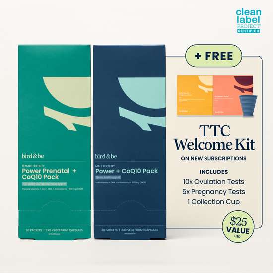 Egg + Sperm Support Bundle