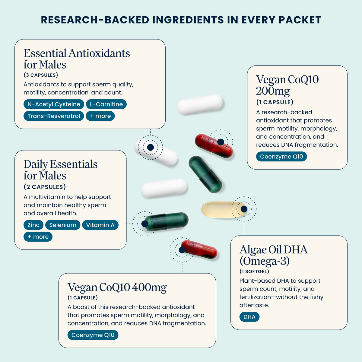 Male Fertility Power Pack