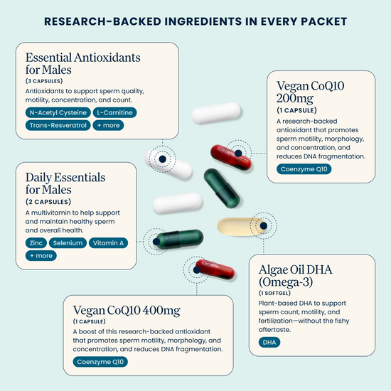 Male Fertility Power Pack