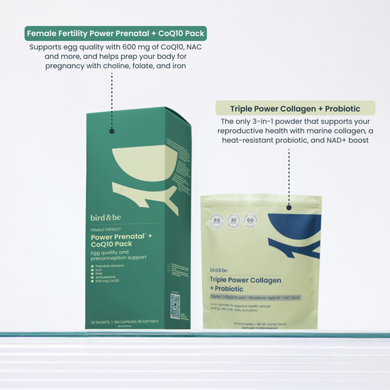 Egg Support + Energy Bundle