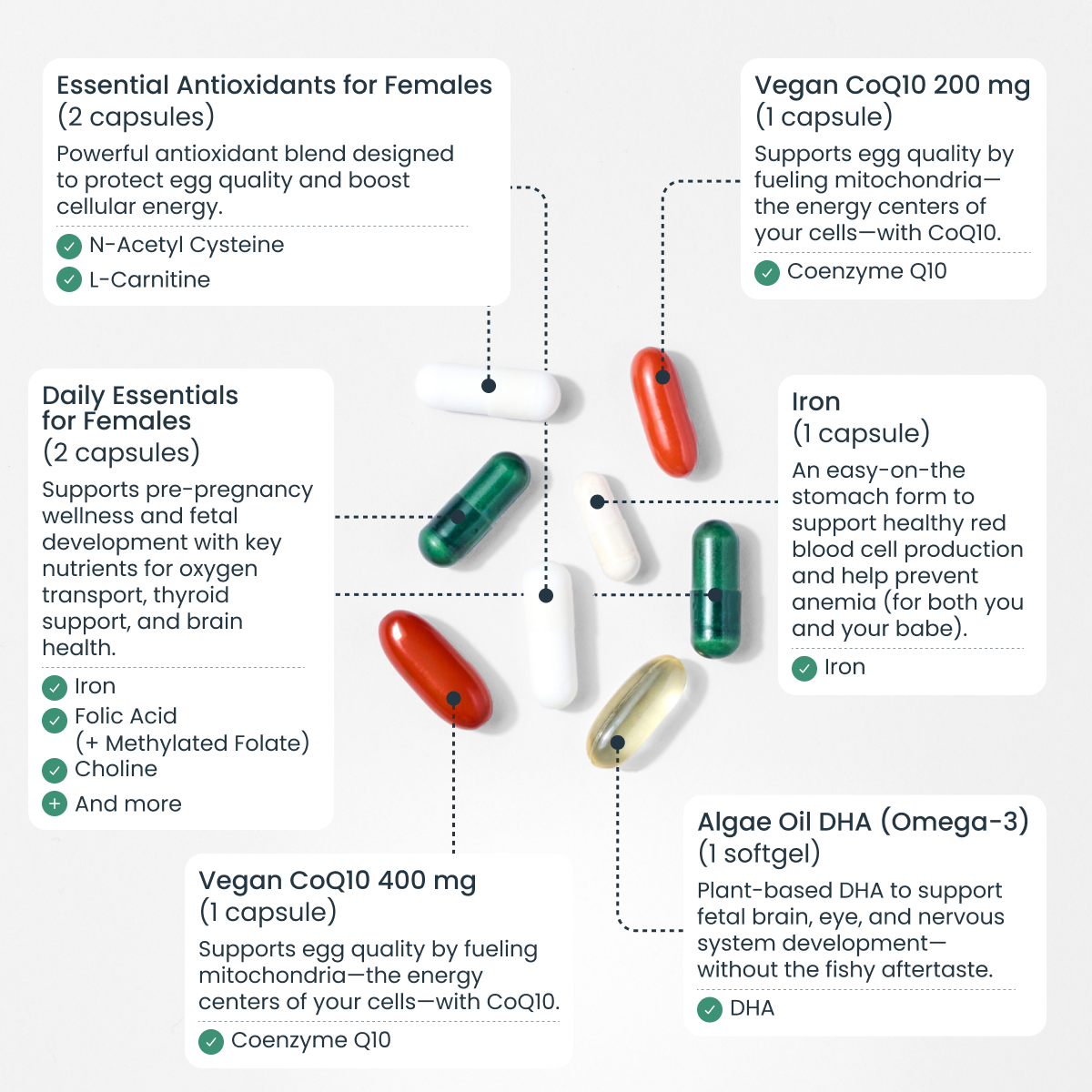 Cycle Regulation Bundle