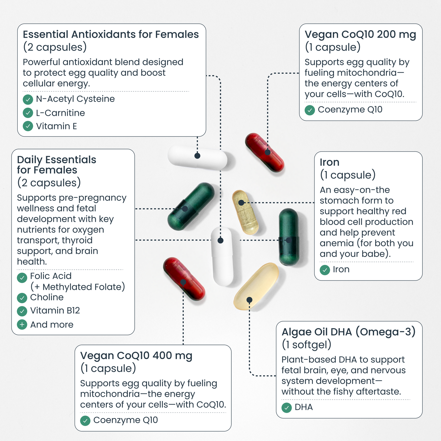 acetyl l-carnitine for female fertility Power Prenatal Pack – Bird&Be Benefits of L-Carnitine for PCOS