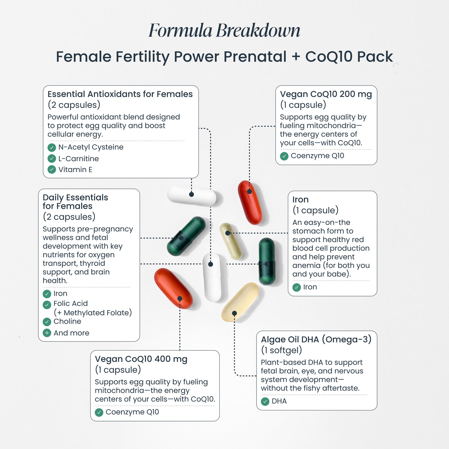 Trying to Conceive Bundle