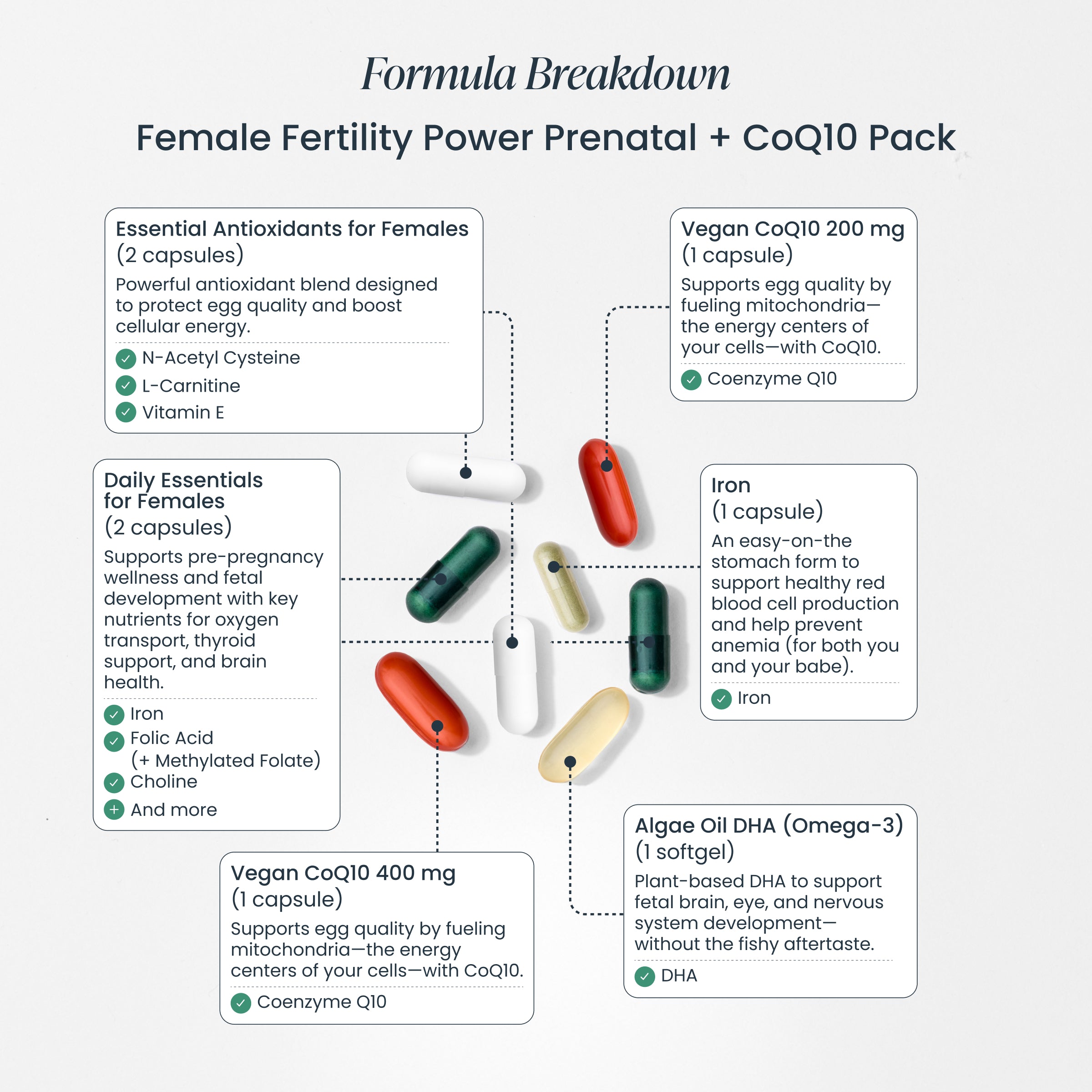 Trying to Conceive Bundle