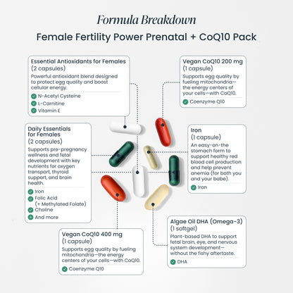 Trying to Conceive Bundle