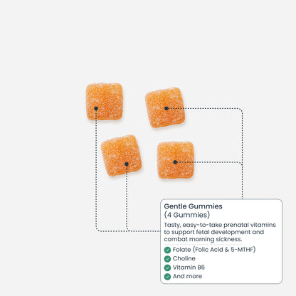 Gentle Prenatal Gummies