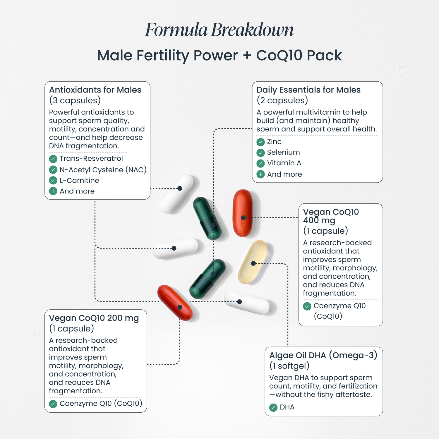 Trying to Conceive Bundle