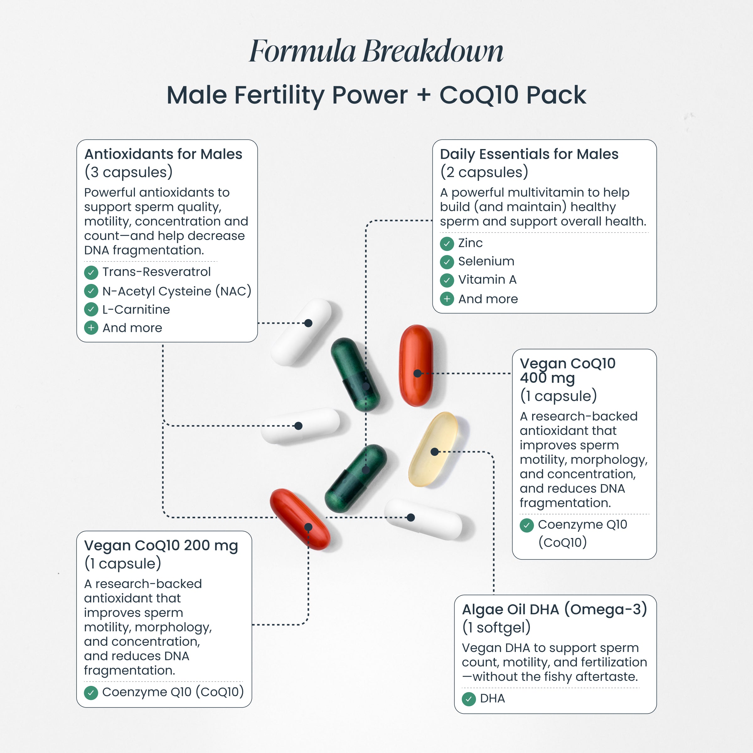 Trying to Conceive Bundle