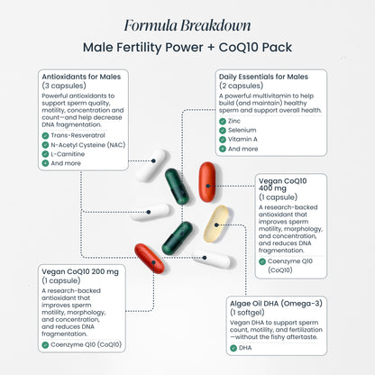 Trying to Conceive Bundle