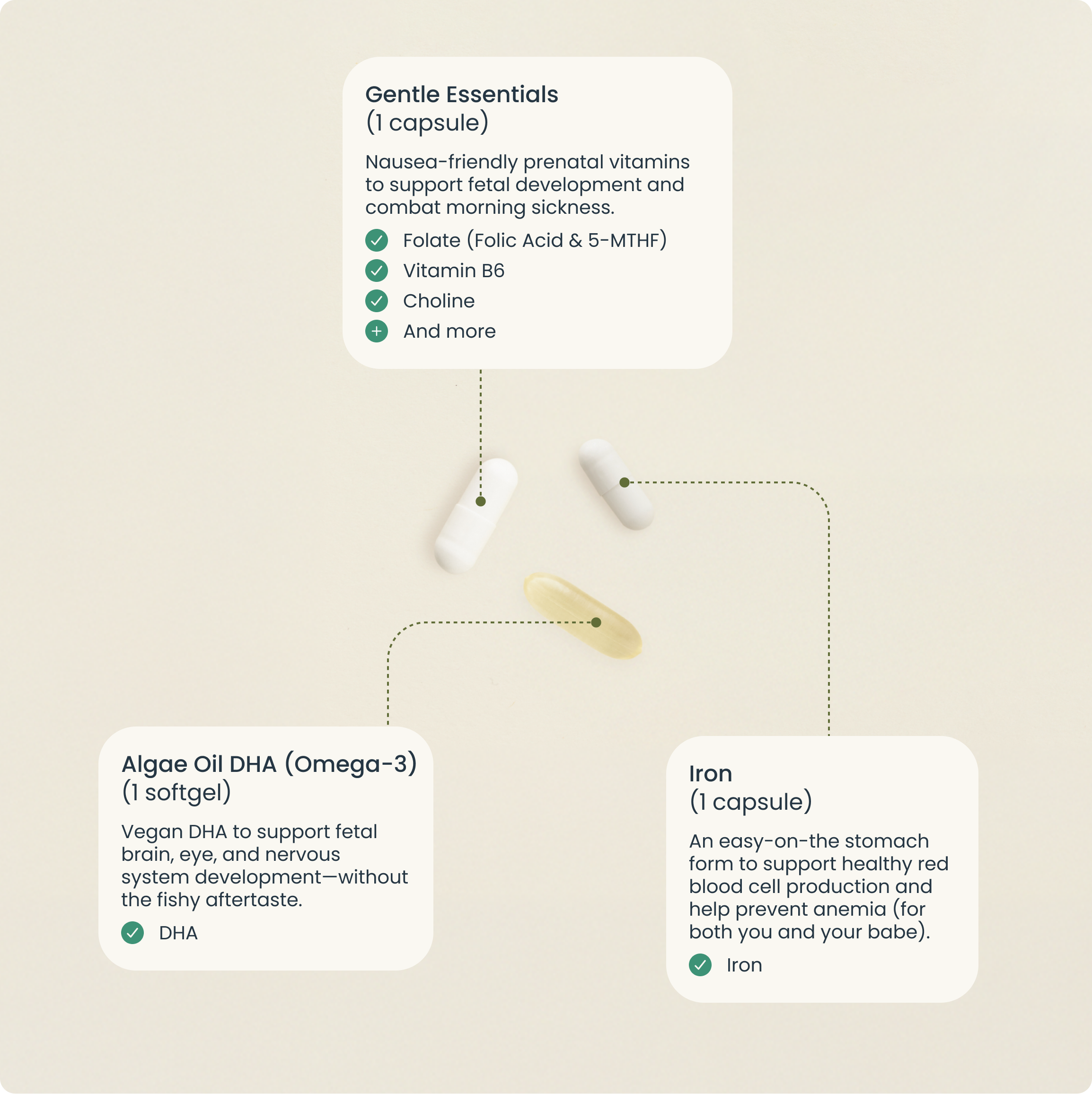 The Gentle Prenatal Pack