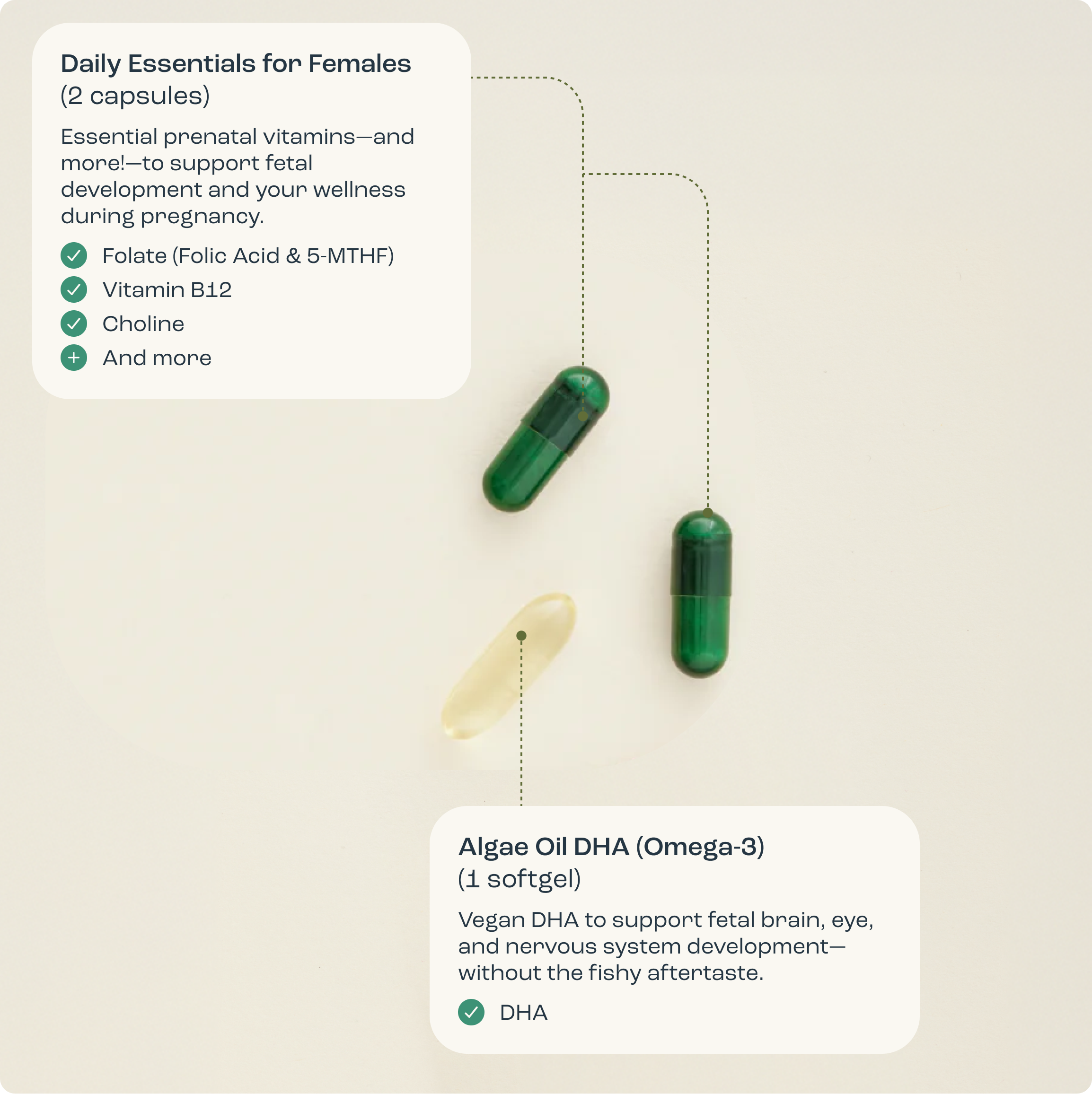 The Prenatal Essentials for Females