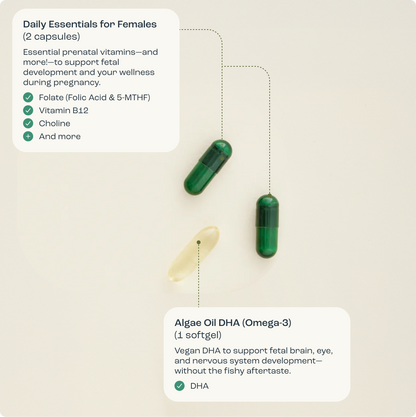 The Prenatal Essentials for Females