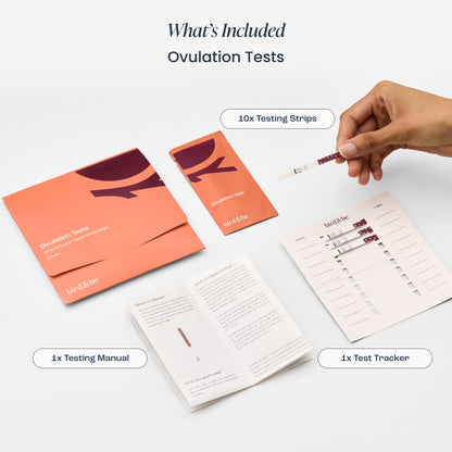 Trying to Conceive Bundle