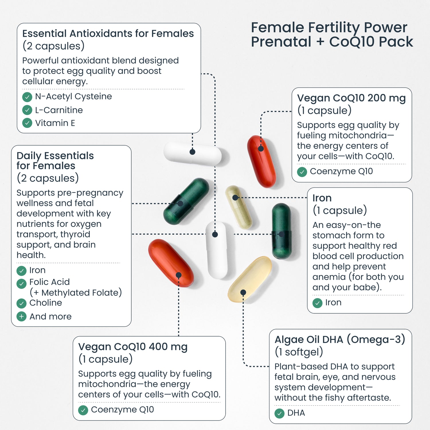 Trying to Conceive Bundle