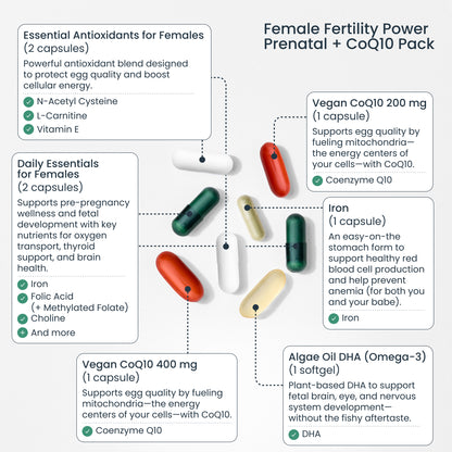 Trying to Conceive Bundle