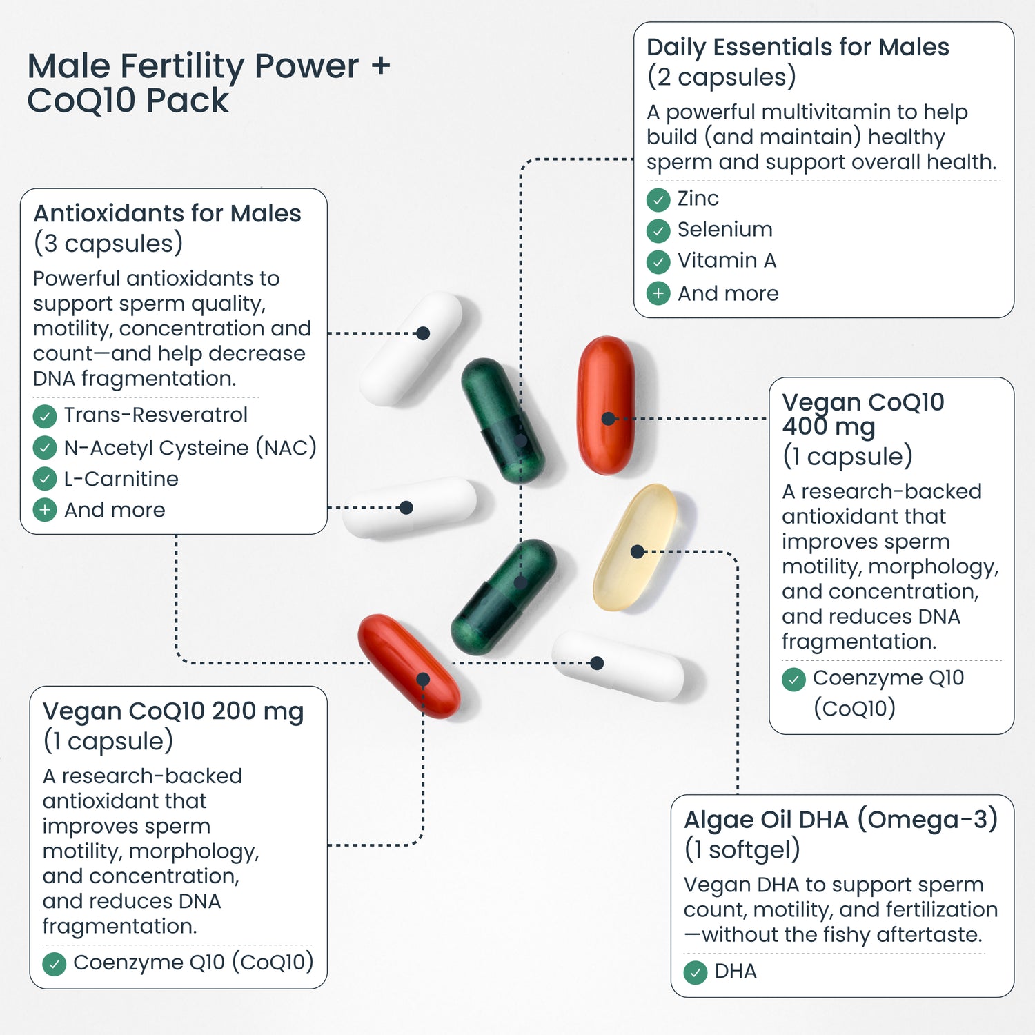 l carnitine sperm health Sperm Health Bundle – Bird&Be