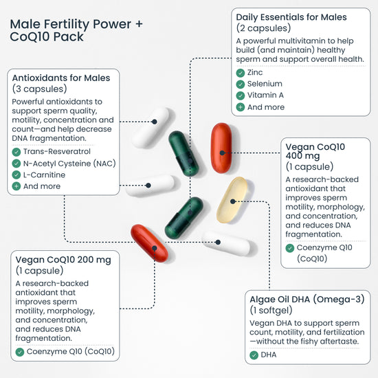 Trying to Conceive Bundle
