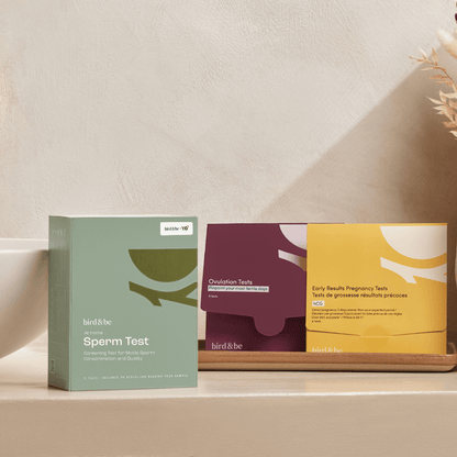 Fertility Tracking Kit