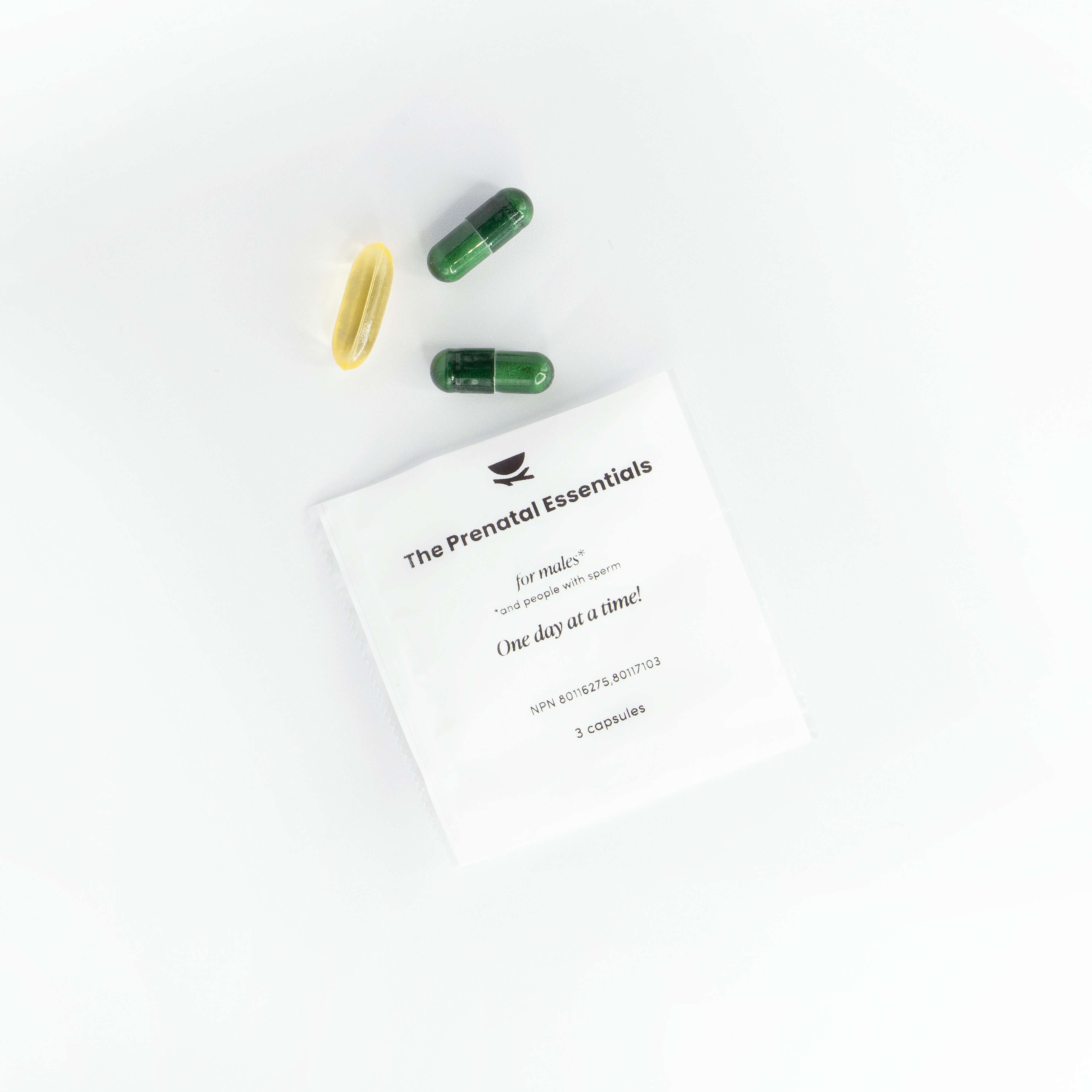 About our Products – Bird&Be
