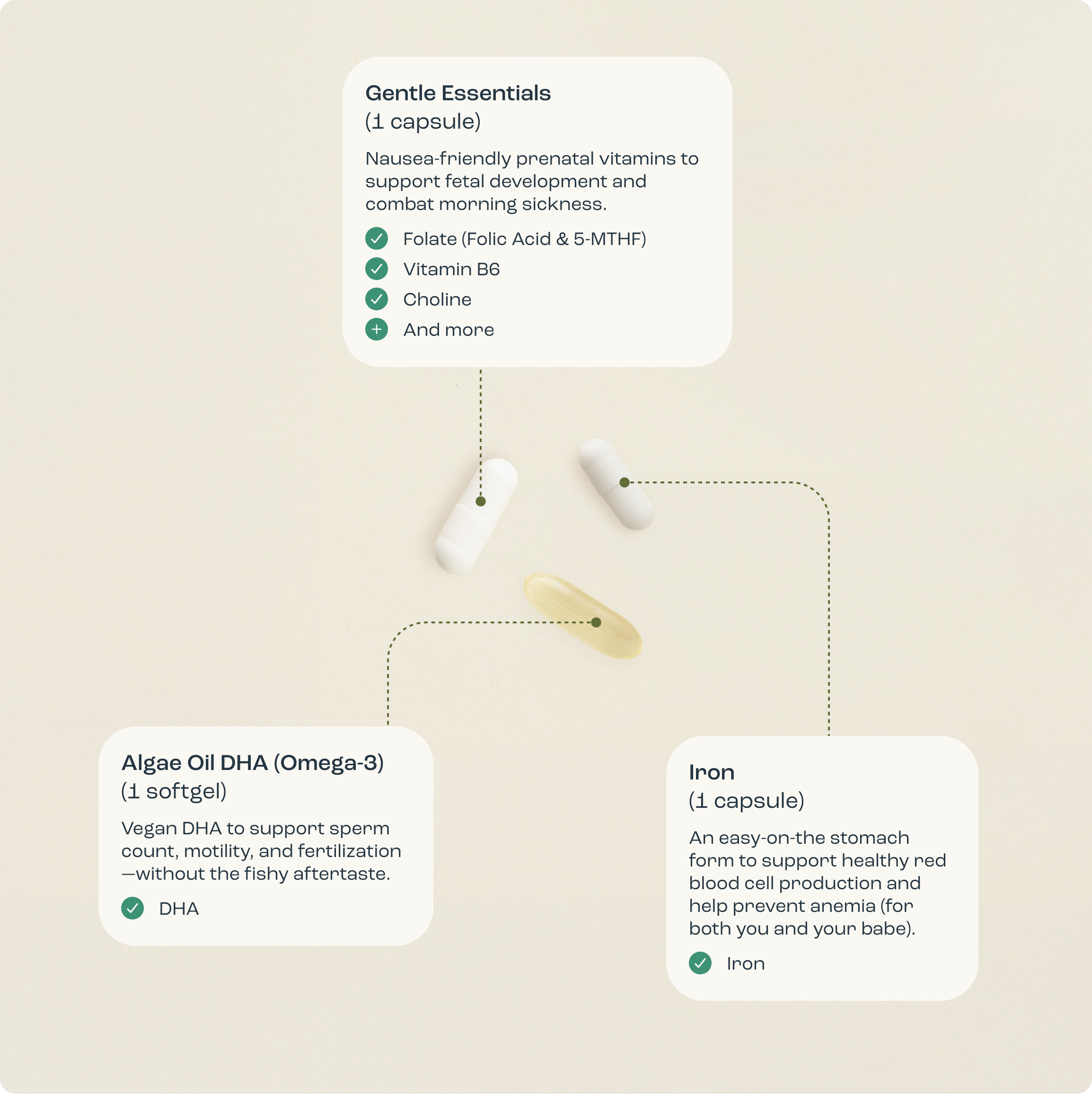 The Gentle Prenatal Pack