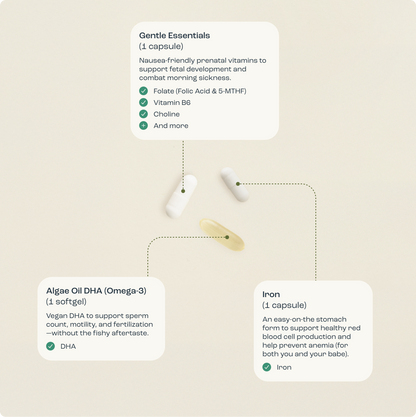 The Gentle Prenatal Pack
