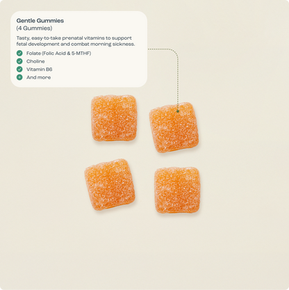 Gentle Prenatal Gummies