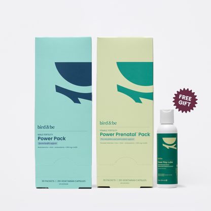 Egg + Sperm Support Bundle