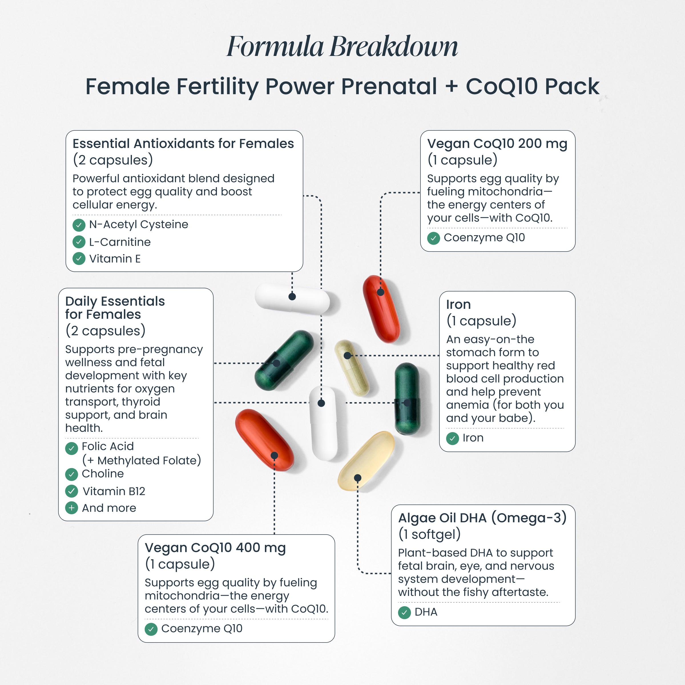 Egg Support + Cycle Tracking Bundle