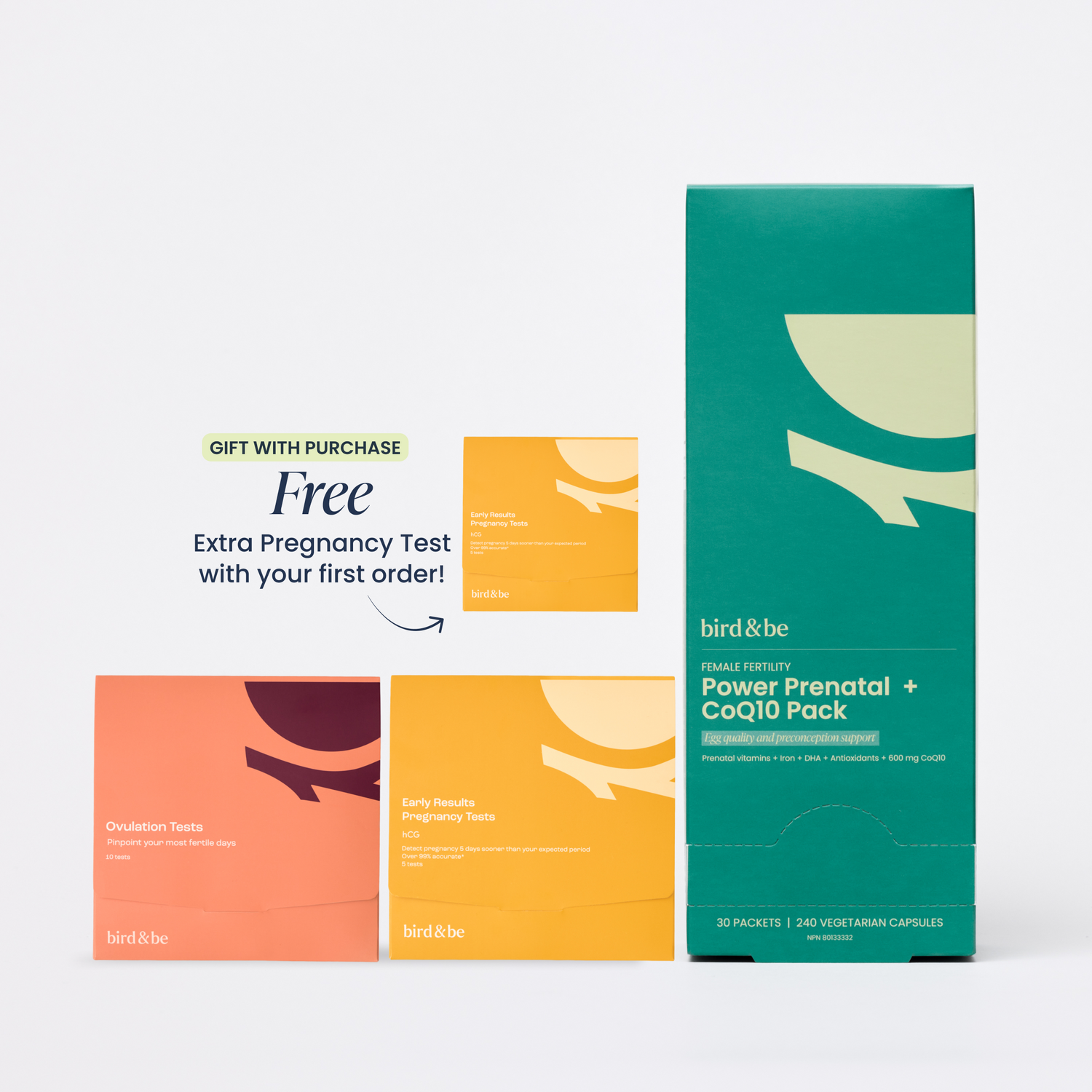 Egg Support + Cycle Tracking Bundle