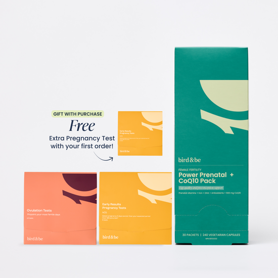 Egg Support + Cycle Tracking Bundle