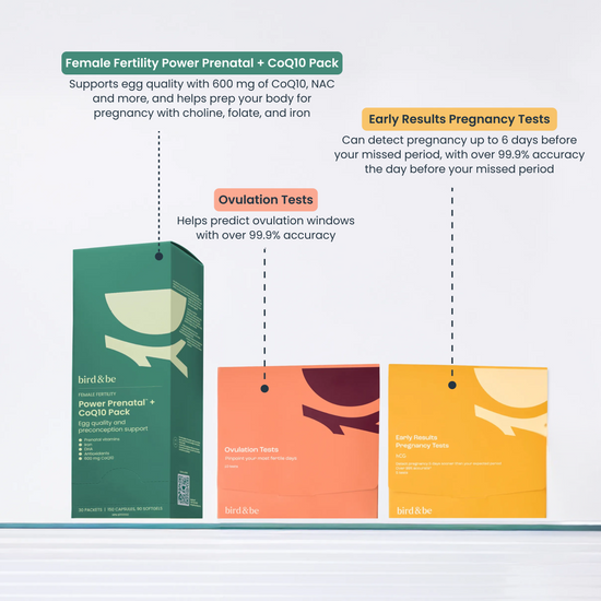 Egg Support + Cycle Tracking Bundle