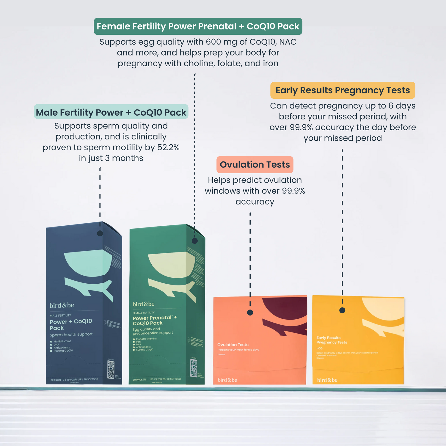 Trying to Conceive Bundle