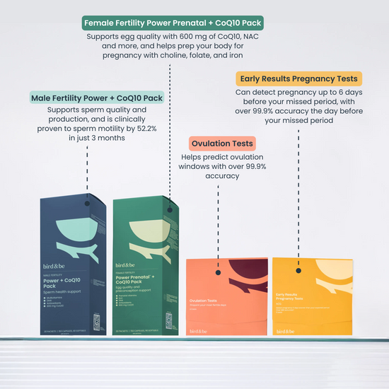 Trying to Conceive Bundle