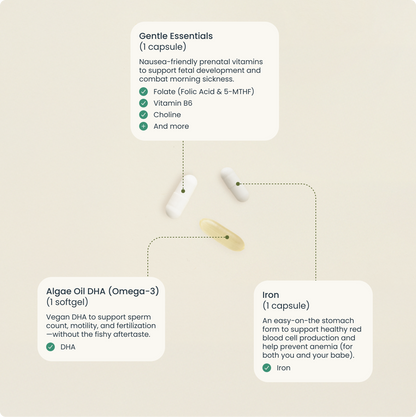 The Gentle Prenatal Pack