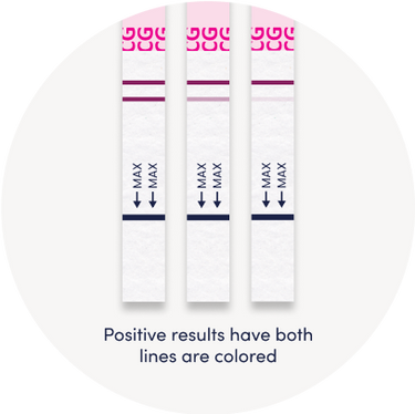 What a Positive Pregnancy Test Result Looks Like | Bird&Be